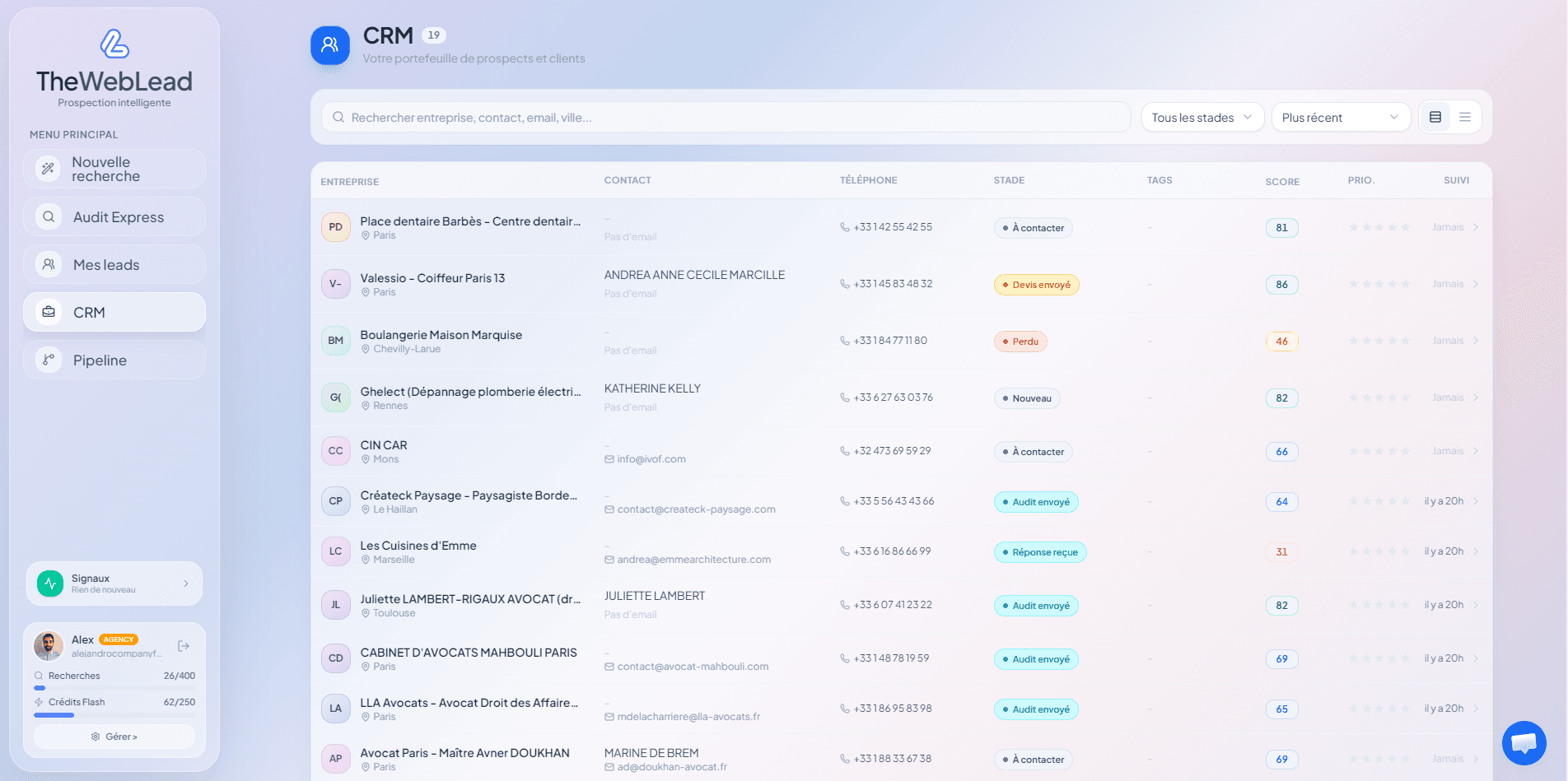 Vue CRM de TheWebLead.